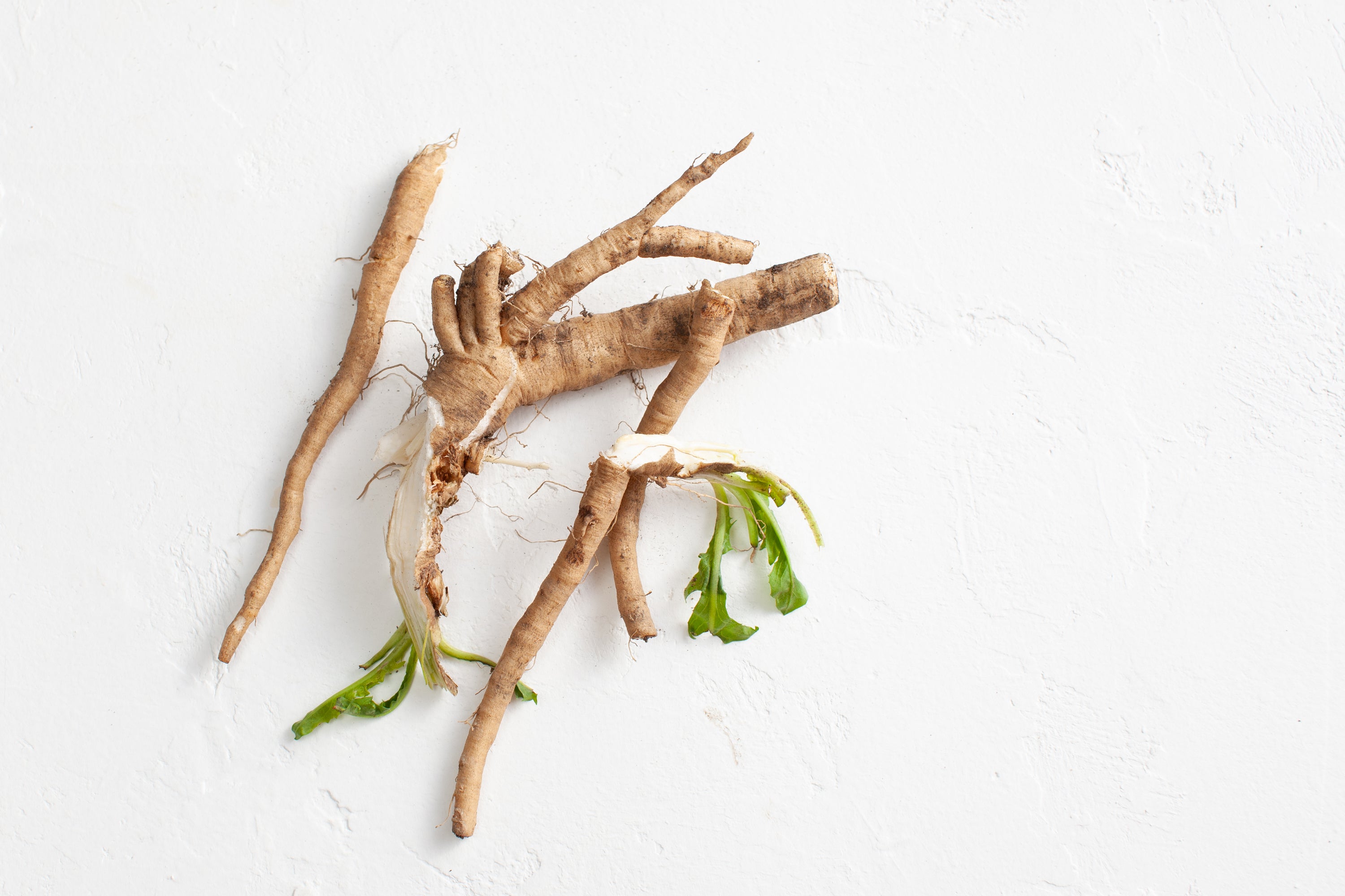 Chicory Root Fiber Gas