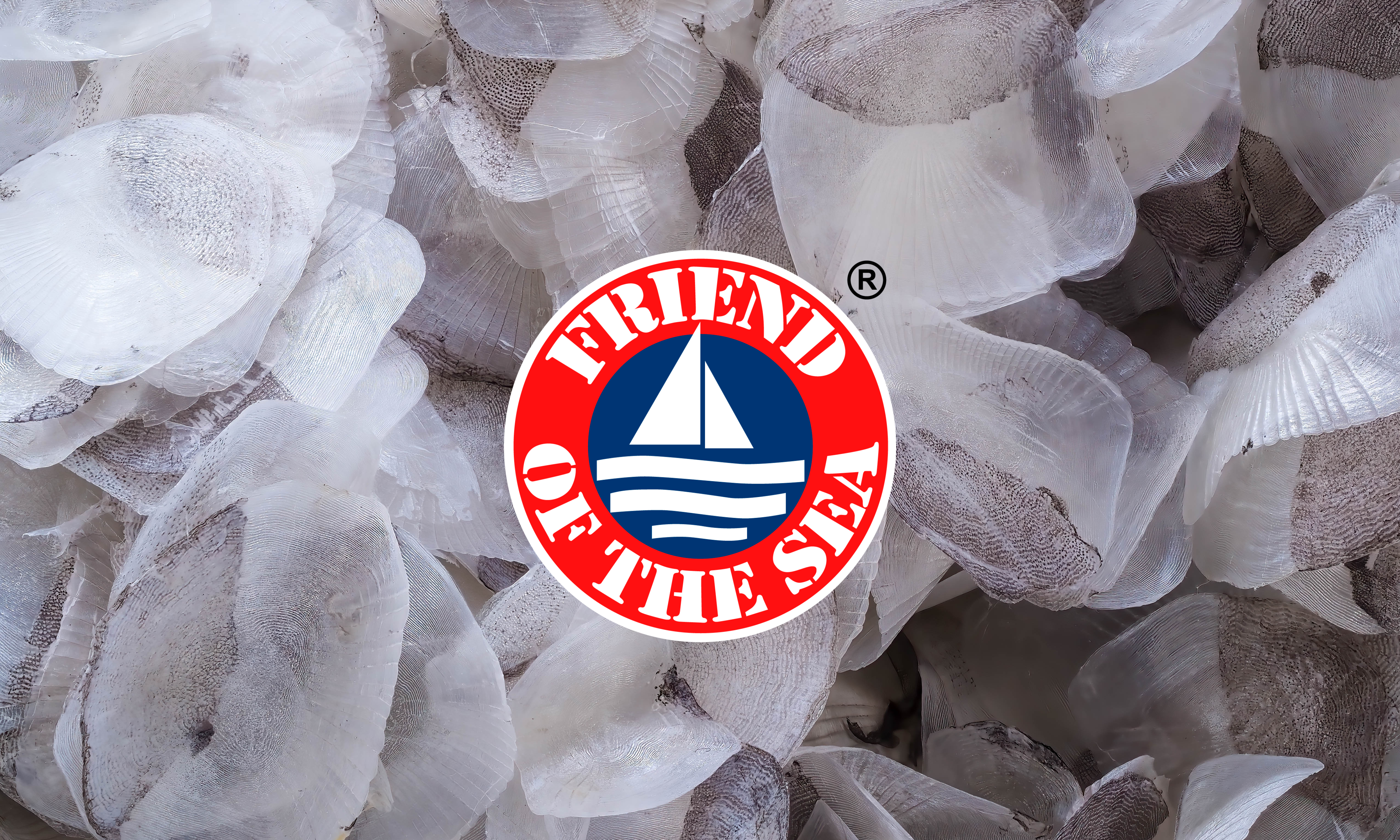 The Gold Standard: Why Highest Quality Marine Collagen and Most Micronized Formulas Matter