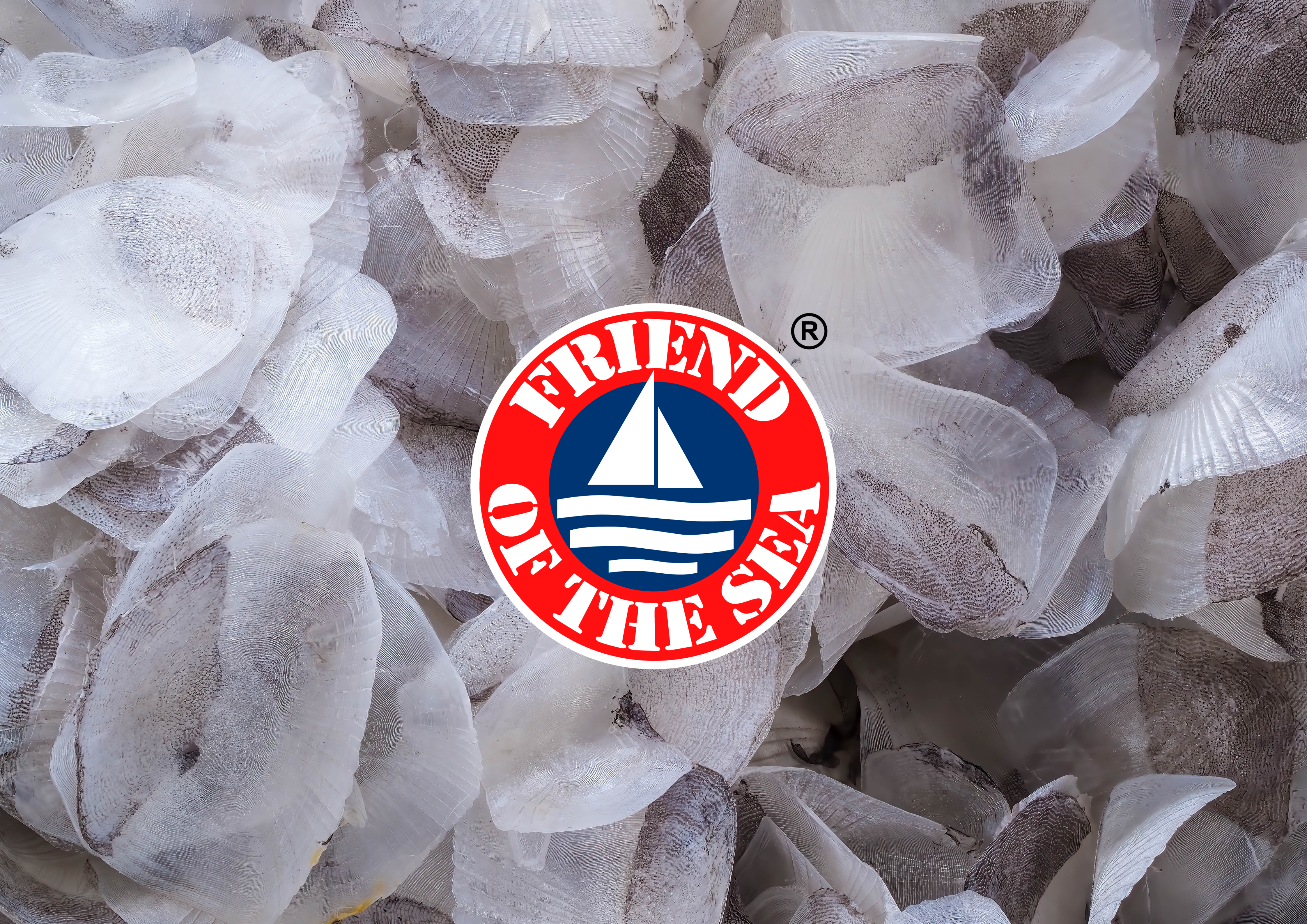 The Gold Standard: Why Highest Quality Marine Collagen and Most Micronized Formulas Matter