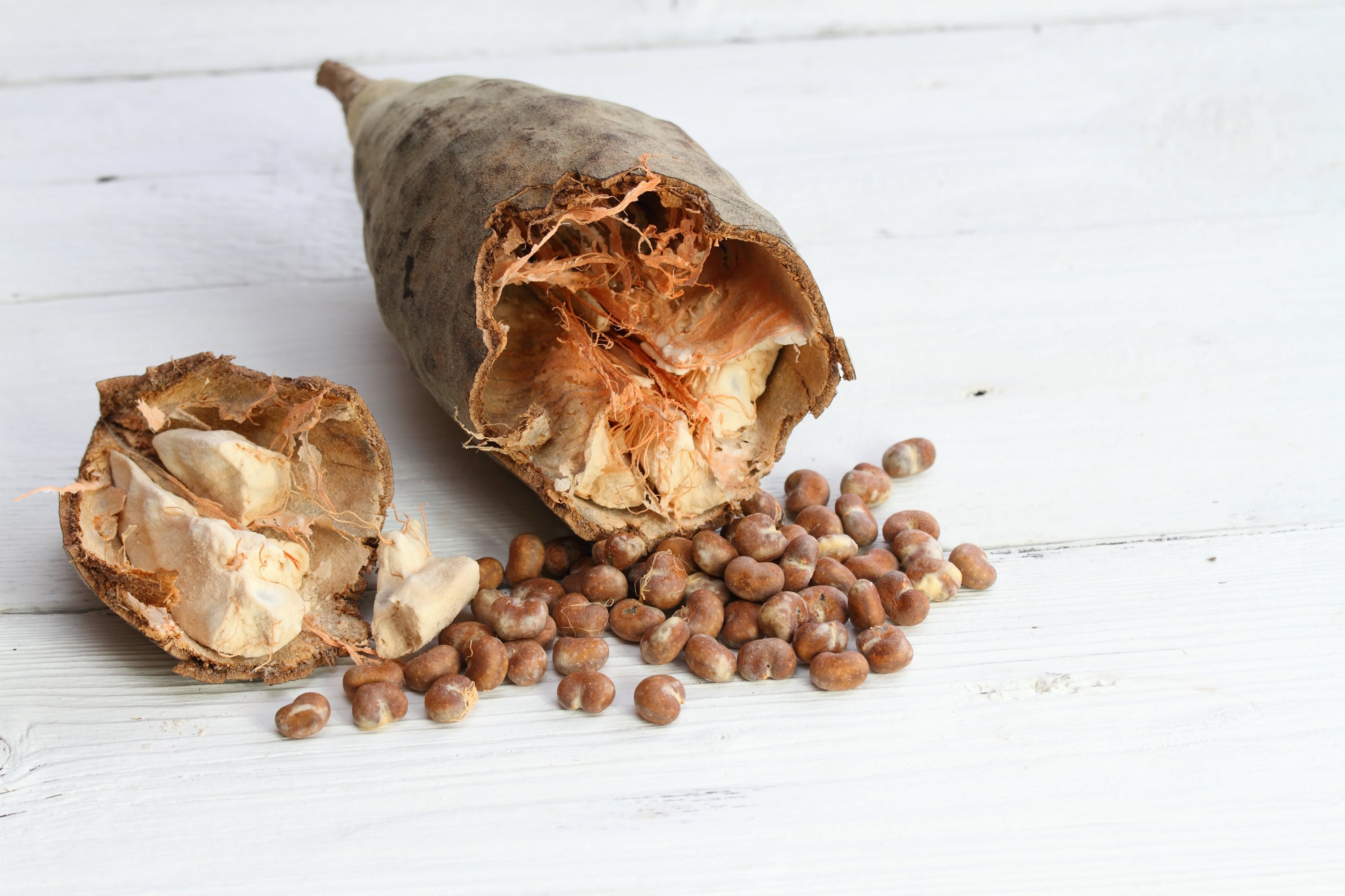 Baobab Fruit: Nature's Superfood for Vibrant Health