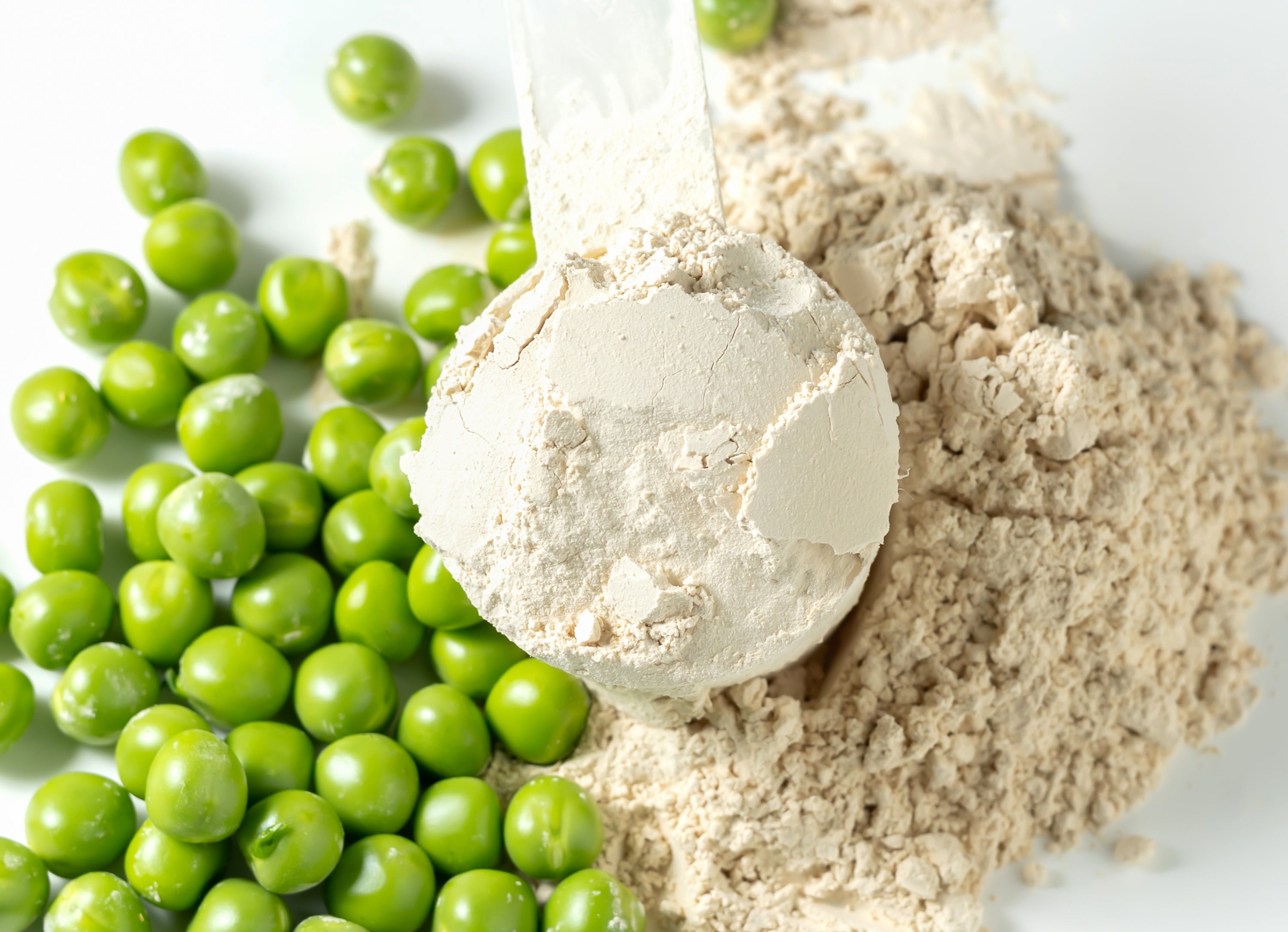 What Is Pea Protein? Benefits and Why It's a Plant-Based Powerhouse –  juspyoriginal